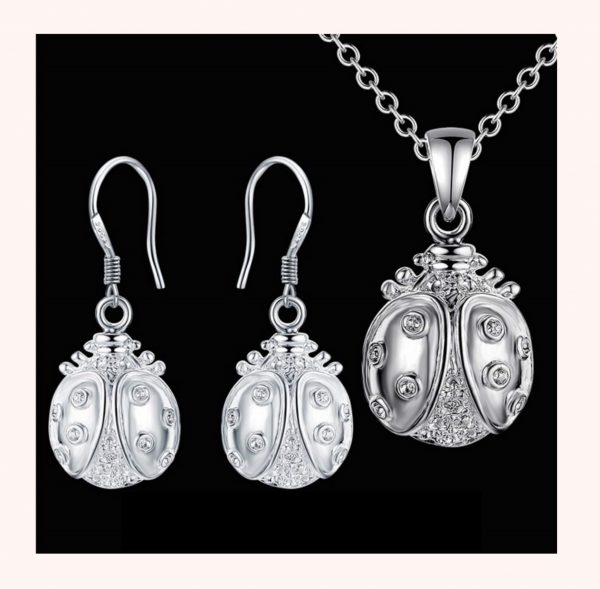 LJCS55 Silver Coloured Ladybug Set