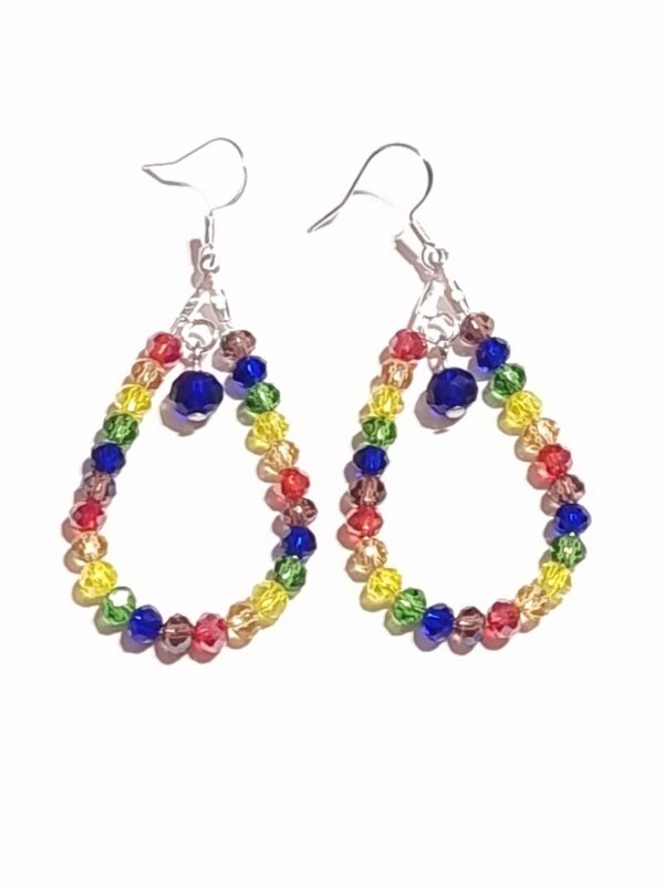 LJLGBTQ6 Tear Drop Earrings