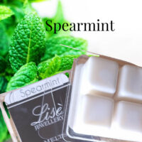 LJM67 Spearmint Clam Melts