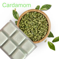 LJSG71 Cardamom Clam Melts