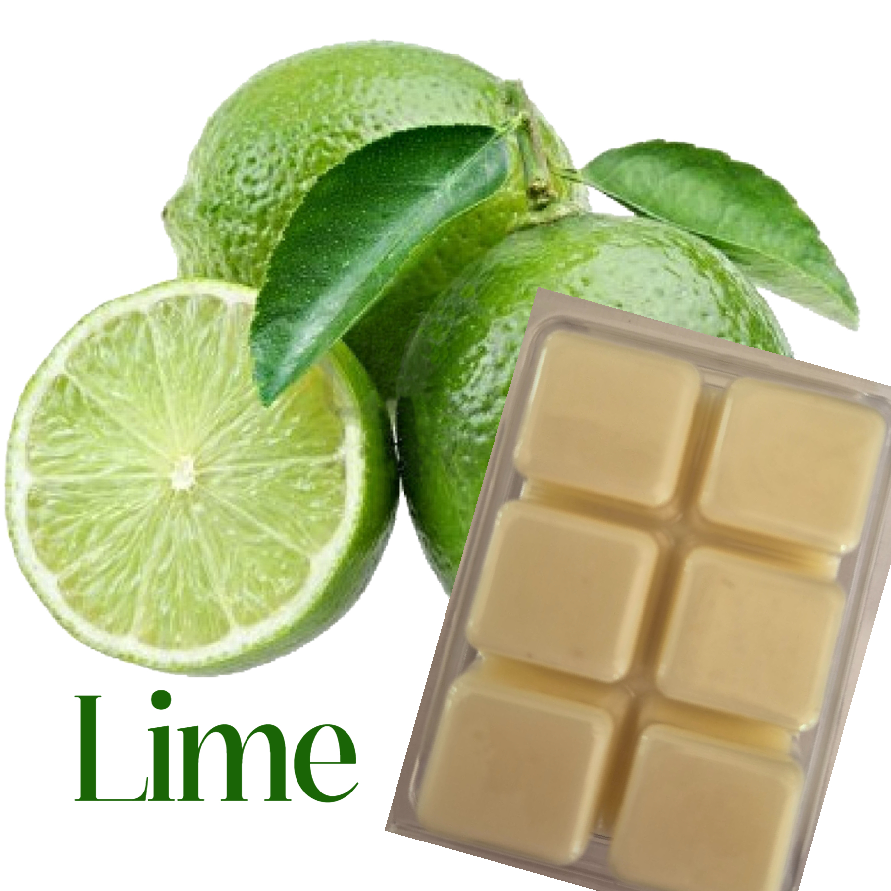 LJMC51 Lime Clam Melts