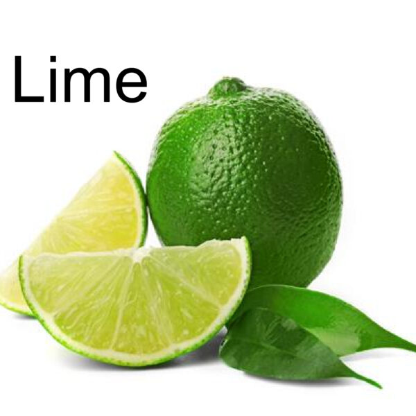 LJMC51 Lime Clam Melts