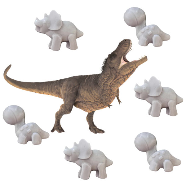 LJS700  Boys Cool Water Dino Mini Soaps