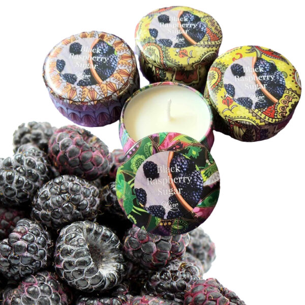 LJC77 Black Raspberry Sugar Tin Candle