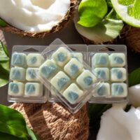 LJM67 Coconut Lime Christmas Clam Melts