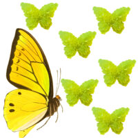 LJS43 Yellow Butterfly Soaps