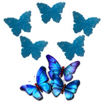 LJS17 Blue Flower Butterfly Soaps