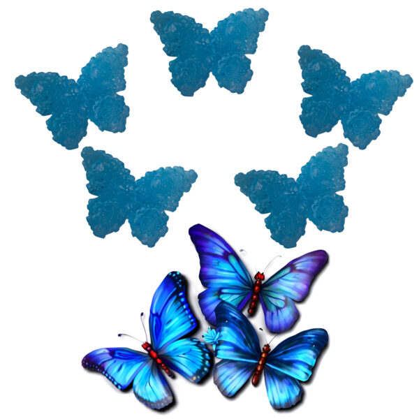 LJS17 Blue Flower Butterfly Soaps