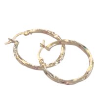 LJSSE21 Sterling Silver Hoop Earrings