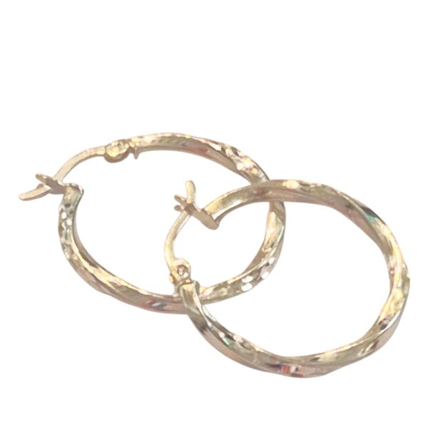 LJSSE21 Sterling Silver Hoop Earrings