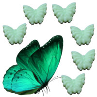 LJS56 Crisp Apple Butterfly Soaps