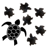 LJS65 Black Mini Turtle Soaps.